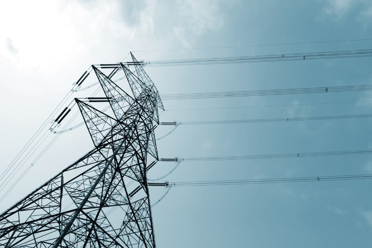 Untitled design (49)